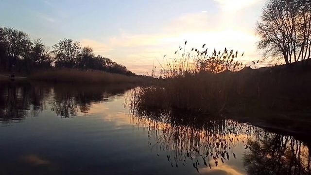 Настоящий отдых — это близость к природе на закате#nature#relax#sunset#river