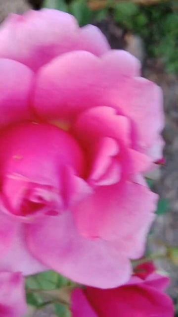 9c99d337fcfcb1810b0d78ce592b8873