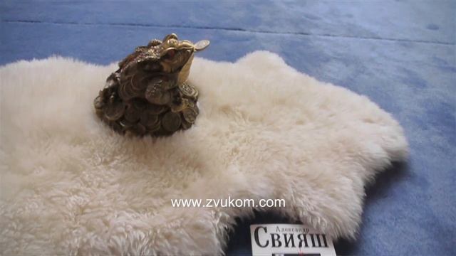 7ba7e56f5a8eccc93e1a230171d7d71c