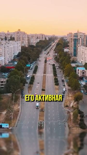 Пухленький Бобёр