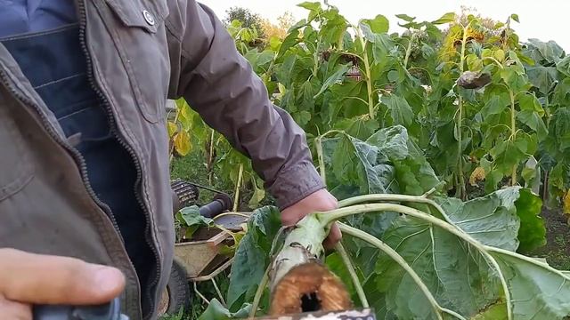 Садовый измельчитель из вала рубанка.