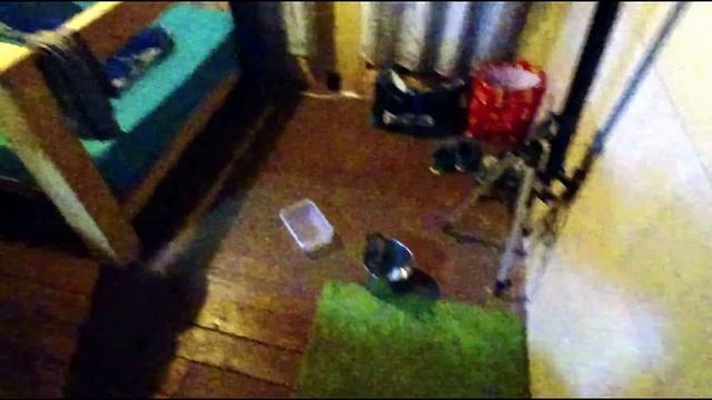 Петах-Тиква