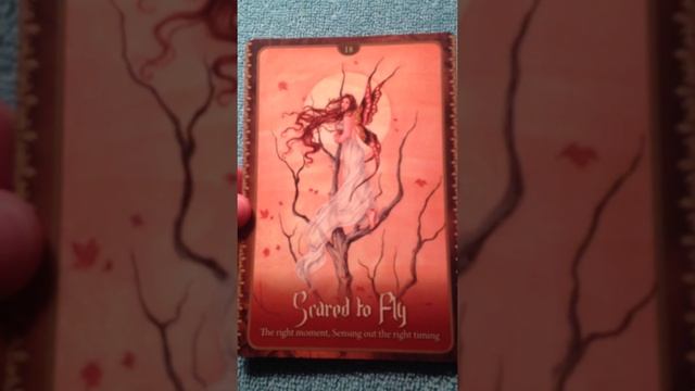 F0026756ce608904f3ab7a5b90e05bbb