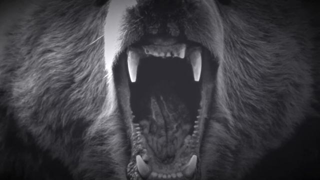 СТРАШИЛКИ ОТ КОМПУКТЕРА - МЕДВЕДЬ