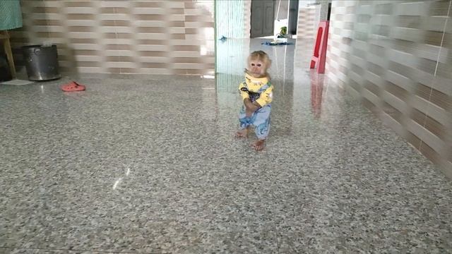 Cutis's Morning Routine!