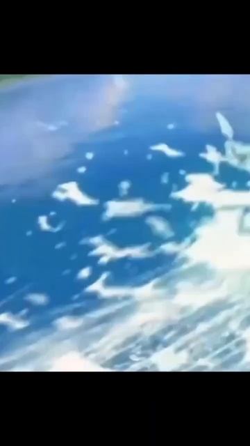 нашли Дэнчика #genshin #genshinimpact #геншин #геншинимпакт #навия