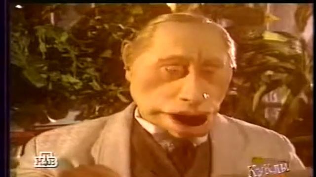 304 Чайка в вишневом саду