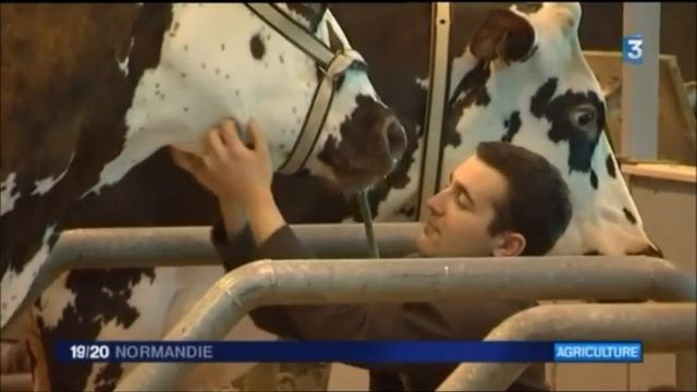 France 3 Normandie Au SIA 2016 Le Lundi 29 Février 2016