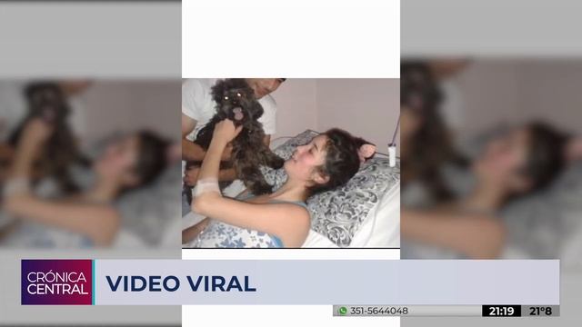 Amor Incondicional: Murió Hace 4 Años Y Su Perro Se Emociona Al Visitarla En El Cementerio