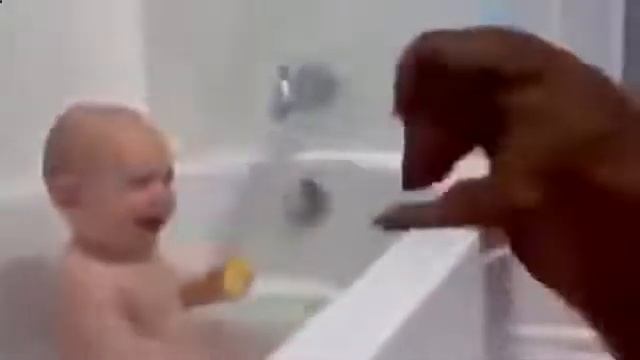 смешные видеоролики детское дети радостно смеются