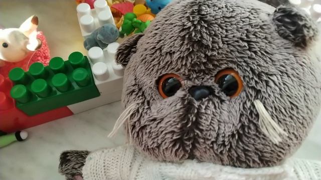 что любит делать Басик 🐈⬛