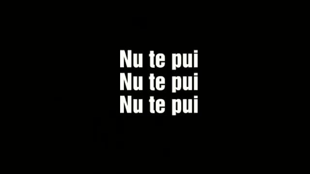 Bianca Adam-NU TE PUI (Lyrics) #nutepui
