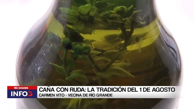 La Tradición De La Caña Con Ruda