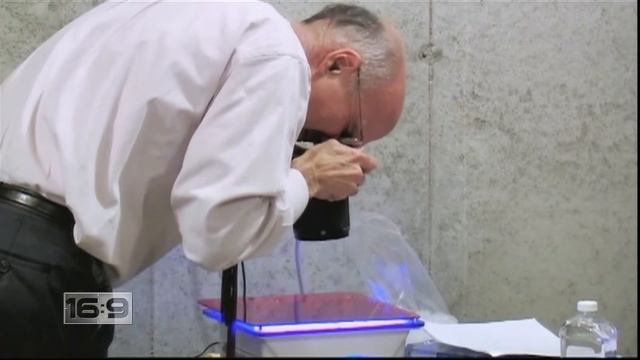 16x9 - Lyme Disease Lepers: Medical Care Enough?