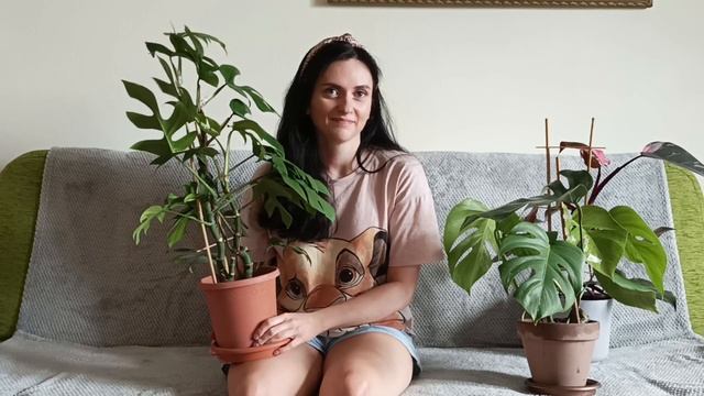 Filodendron Gloriosum Za 10 Zł?!🌱 Roślinne Aktualizacje🌱Roślinki Gosi🌱Gosia I Miłosz