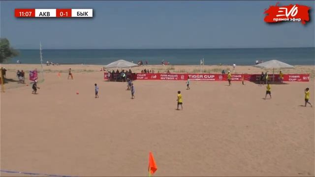 8ba00276df1d5954bc1c75f80549e2b5