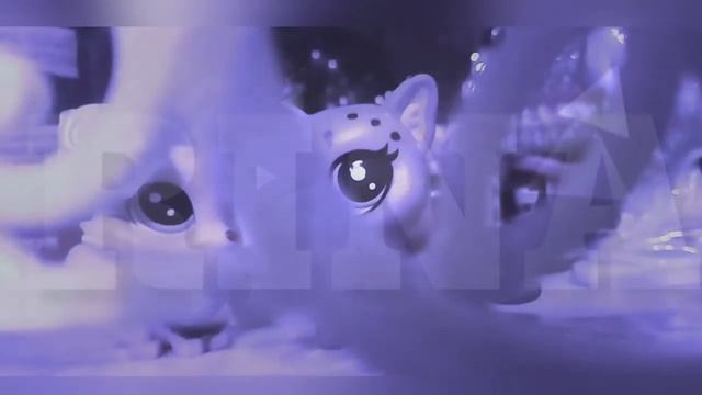 Y O U R    T E X T ~