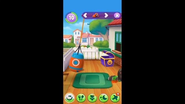 My Talking Tom 2 - Gameplay Boxing - Funny Cartoon For Kids