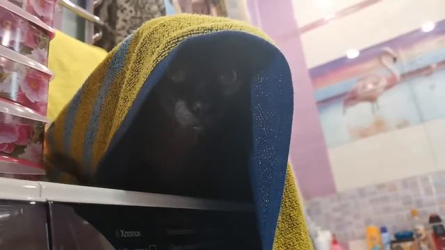 Сюрприз в полотенце!