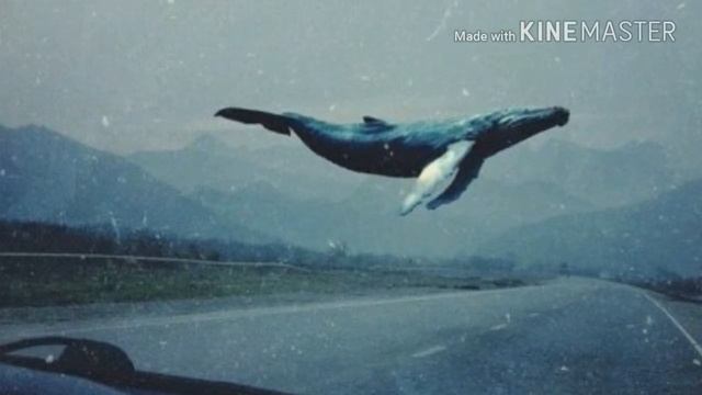 B57d0f39665753aff7e56f62c3667b3a