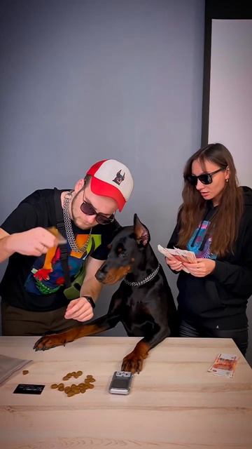 🤤 #доберманы #доберман #doberman