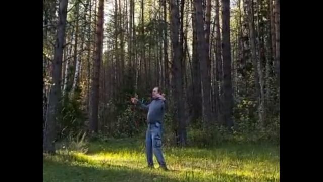 журавль змея