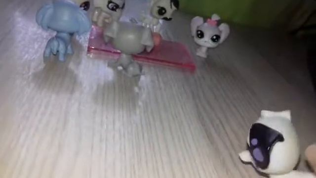 007b9d954ee56ba59febccf9b484e835