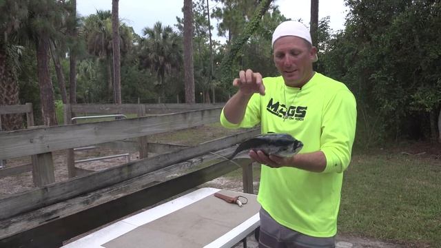 Bonita {Catch Clean Cook} SHOCKING!!!!!