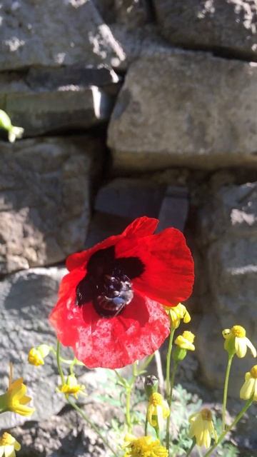 A51e192e2114e69ade3a4468fc4200be