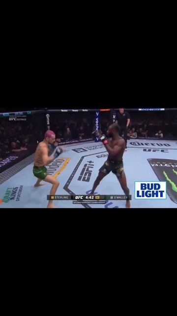 Алджамейн Стерлинг VS Шон О'Мэлли Highlights