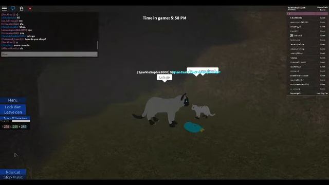 The Sea Cat??!! | Roblox Cats' Life #2