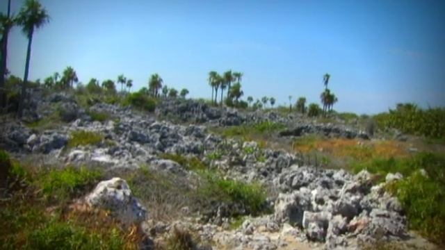 CaymanBrac - Sister Islands - Cayman Islands