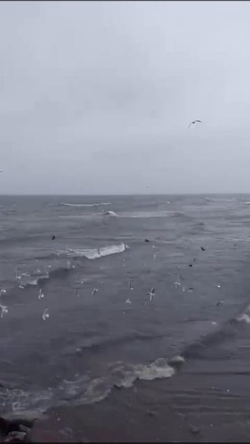 В Дербенте снег