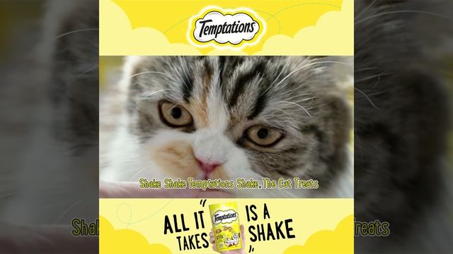 SHAKE SHAKE And Watch The Magic!