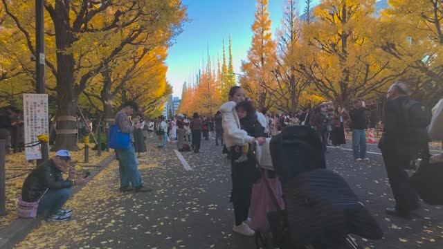 То что интересно