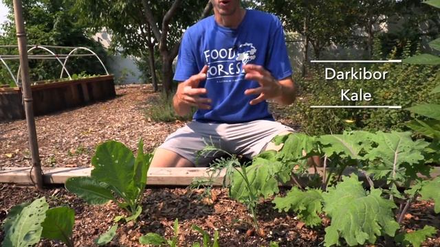 12 Cold Hardy Vegetables EVERYONE Should Be Growing Through Fall And Winter!