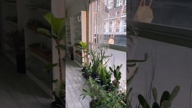 F3a74c8aeb9748b39eb8be7f98f5b82f