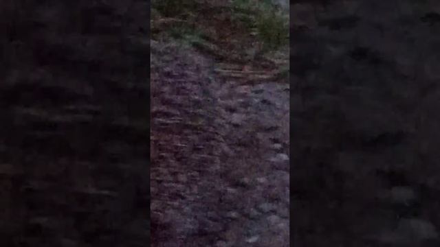 вот это встреча!