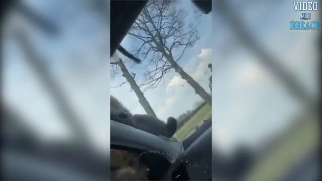 Monkey Pees On Tourist Through Car Window