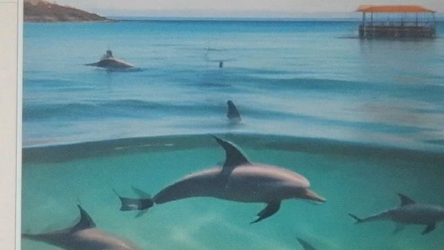 2f48eed053228859c276c2d3f5d6ebbd