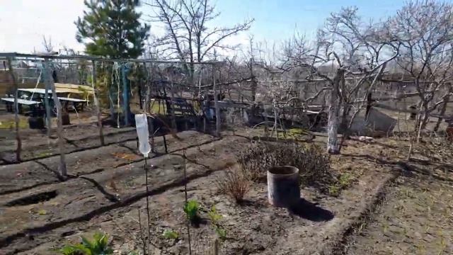 АХ ОГОРОДИК - ОГОРОД!