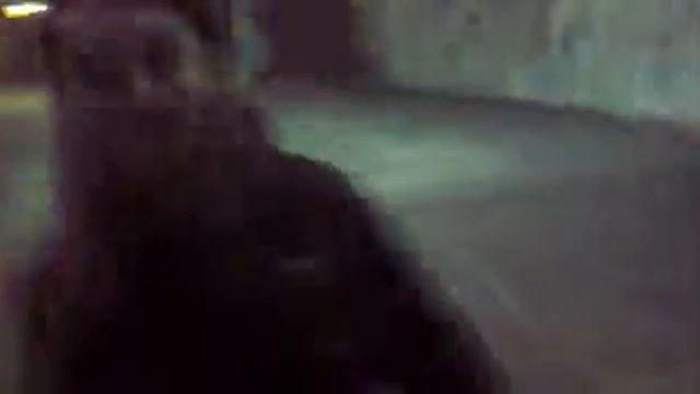 Alice In The Wond.... In Minsk