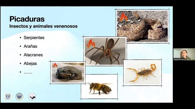 9f78c7c471962b10b072068fecdb6d2e