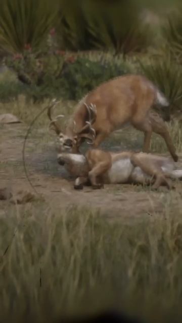 EL DETALLE DE RED DEAD REDEMPTION 2 QUE NO VISTE