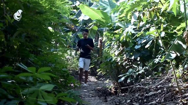 NARDI KESURUPAN SETAN BUDEK || FILM PENDEK || FILM JAWA.
