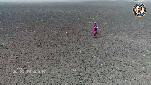 Petiya Pyaralena Chori Banjara Traditional Song By Mysi ||DJ Uday || Roja || 2019 Folk Song