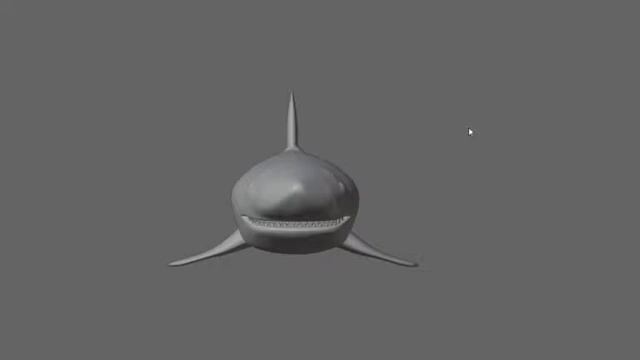 Shark - Tubarao 3D Model