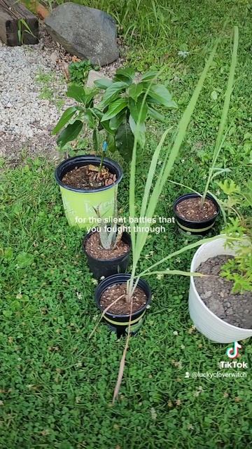 18b7c9d1d297535e22ef1bde4a685398