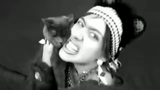 Катя Клэп - Все танцуют с котами (Удаленное видео)