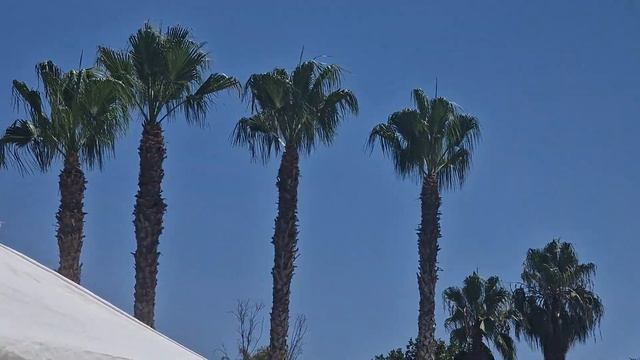 Türkei Urlaub 2023 Sultan Of Side Dance Dance Dance